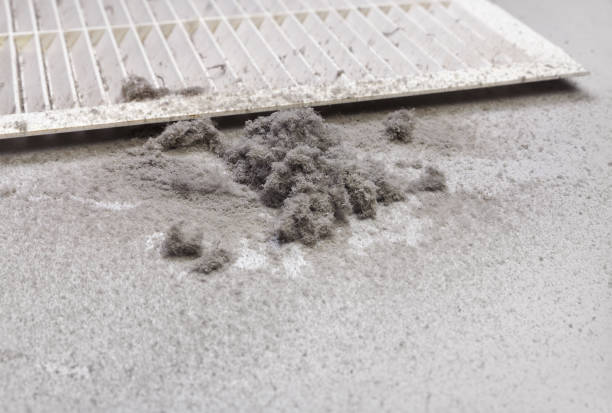 Best Home Air Vent Cleaning  in Osceola, WI