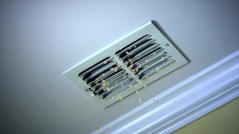 Best Air Duct Cleaning Company Near Me  in Osceola, WI
