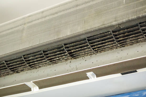 Best Air Vent Cleaning Services  in Osceola, WI